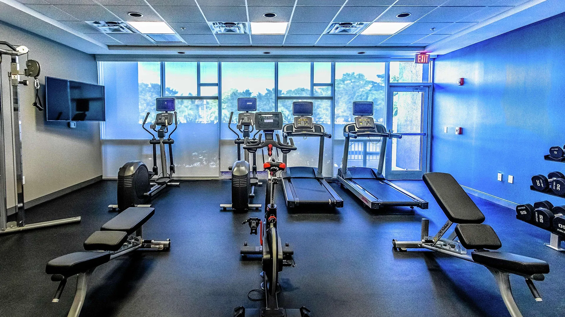 Hotel Hampton Inn & Suites Sarasota / Bradenton - Airport