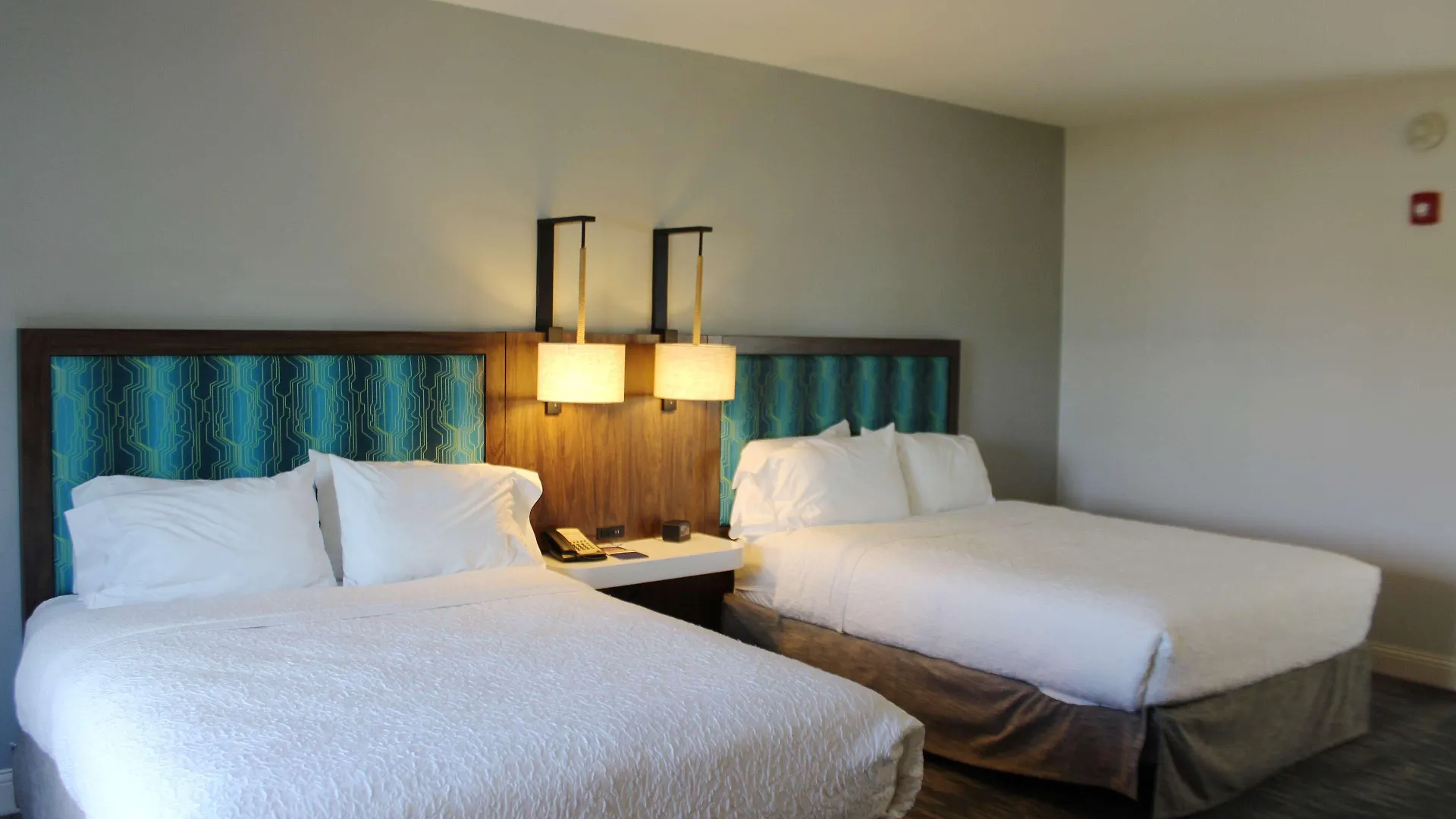 Hotel Hampton Inn & Suites Sarasota / Bradenton - Airport